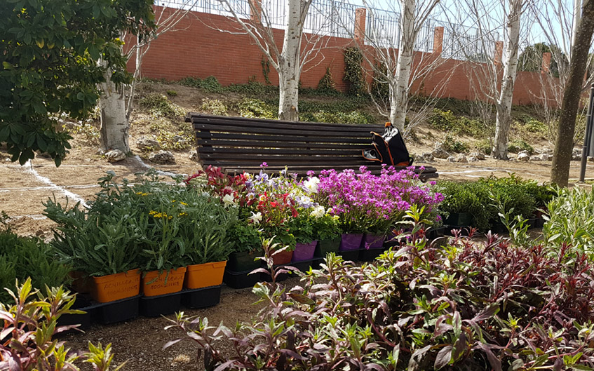 Rivamadrid coordina la instalación del nuevo sistema de riego en viales y posterior plantación de árboles<p>